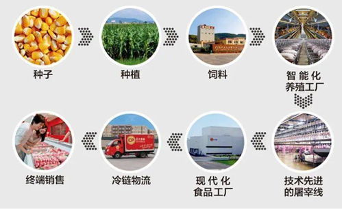 泰国首富家族要来a股了 瞄准生猪养殖赛道