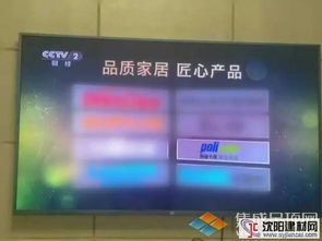 2016属于保丽卡莱的关键词,你get到了吗